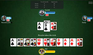 Play Single Deck Partners - Pinochle