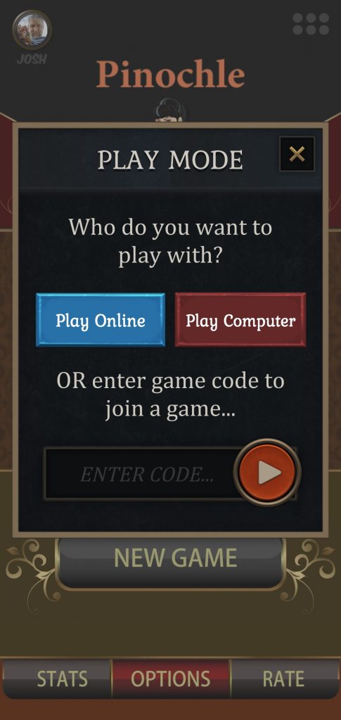Pinochle Play Mode selection screenshot